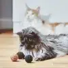 Balle De Jeu Pour Chat – FILO