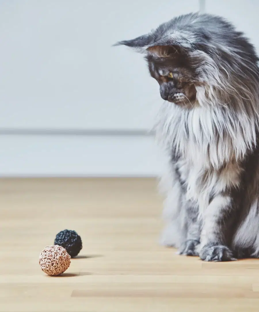 Balle De Jeu Pour Chat – FILO