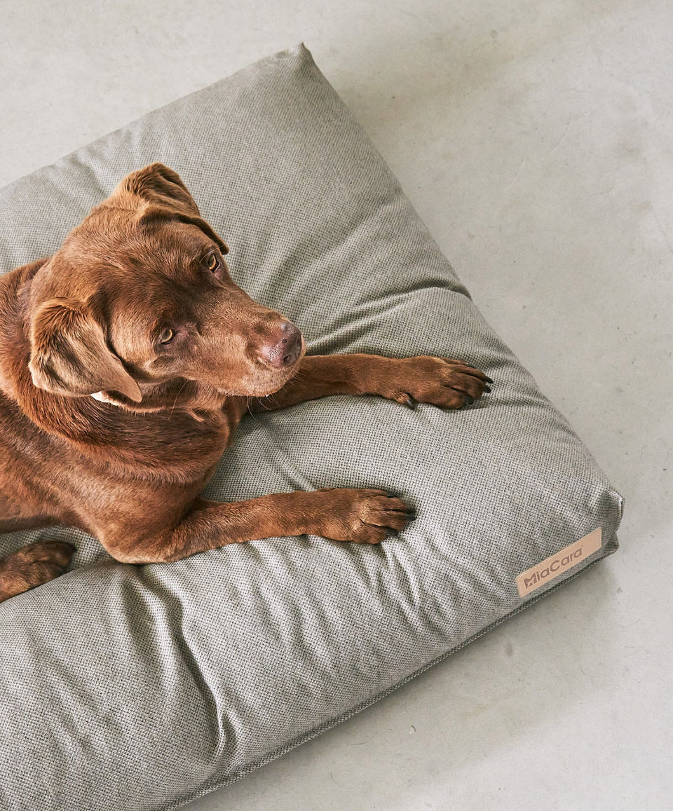 Housse de coussin design - MARE Housse de coussin design - MARE