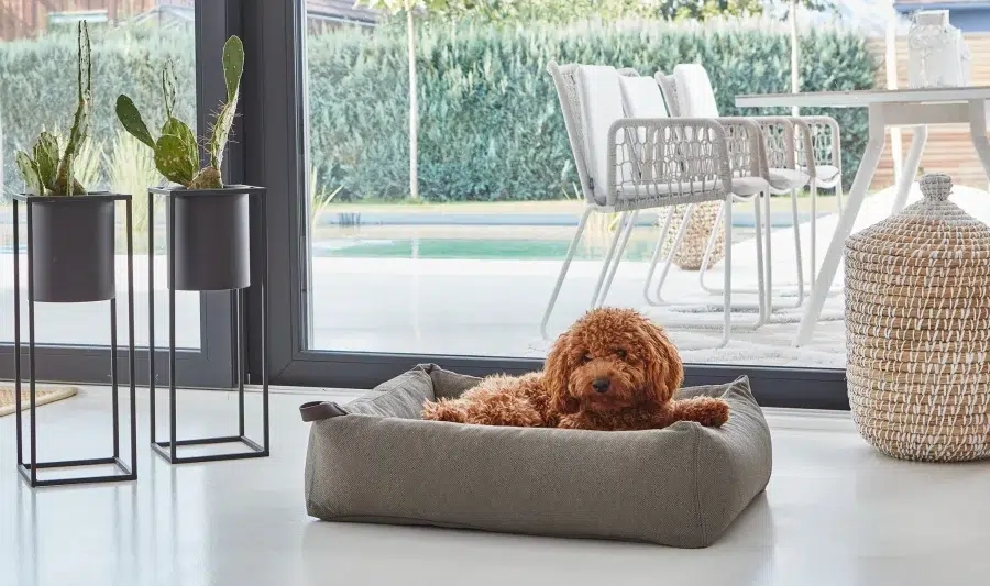 Housse de lit pour chien - MARE