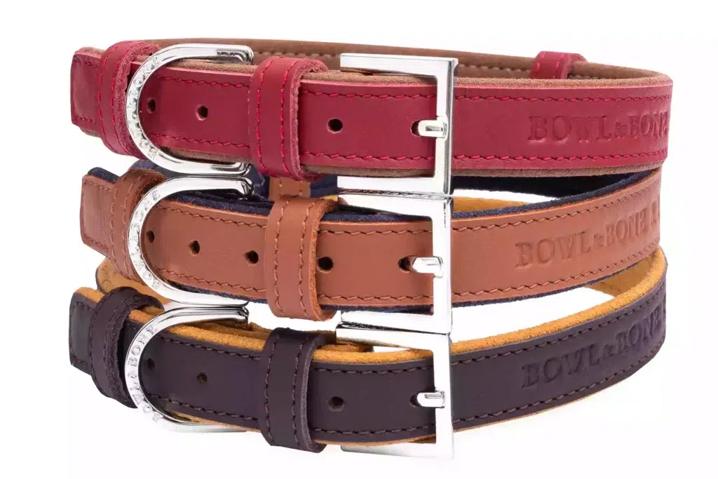 Collier pour chien Collier pour chien - MONACO