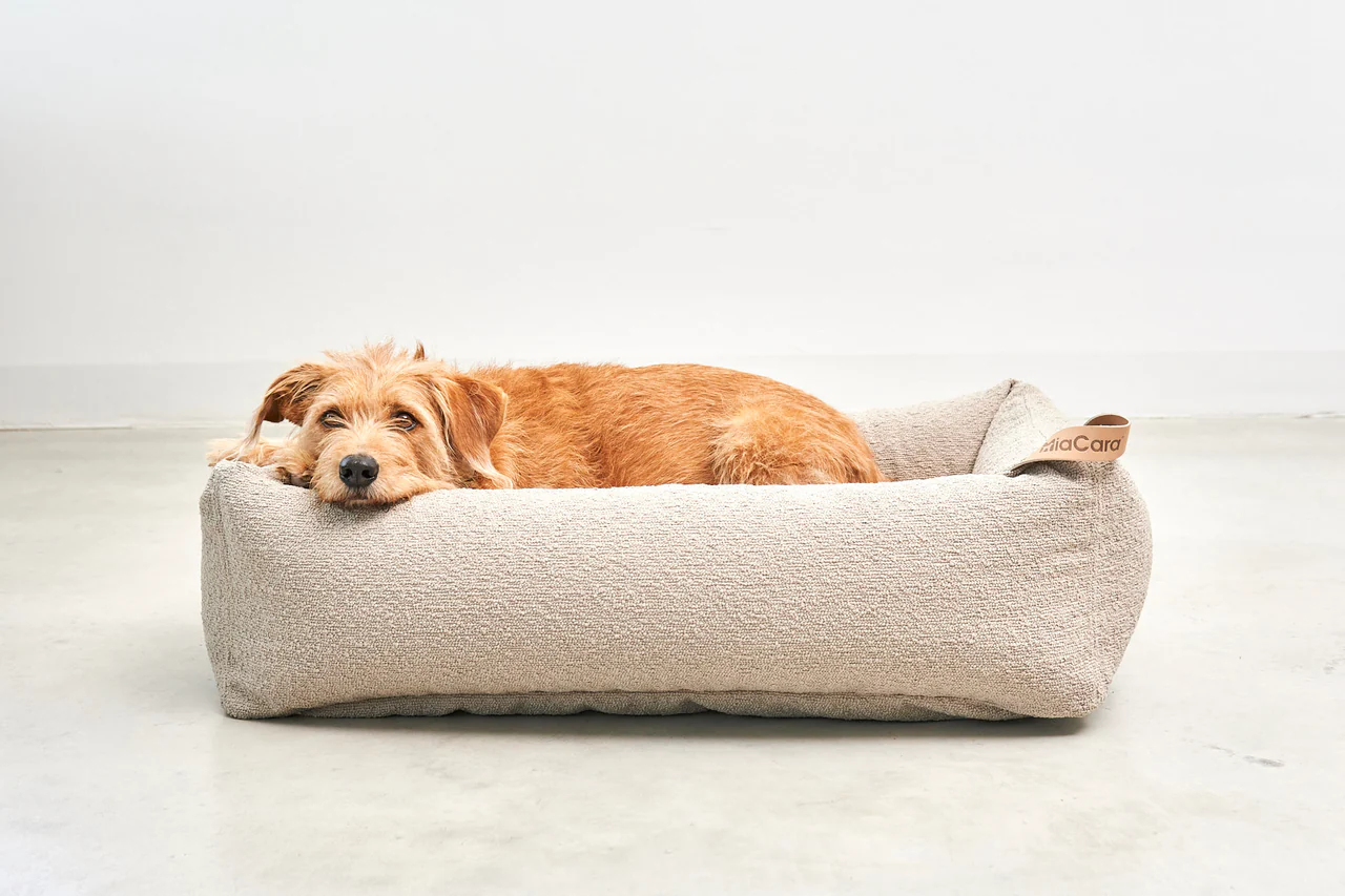 Housse de lit pour chien Housse de lit pour chien - MONDO
