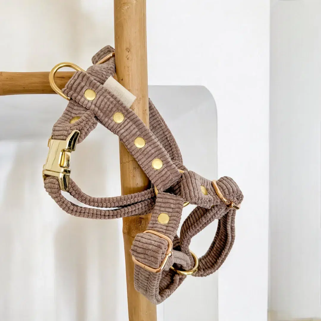 Harnais design en velours pour chien Harnais design en velours pour chien