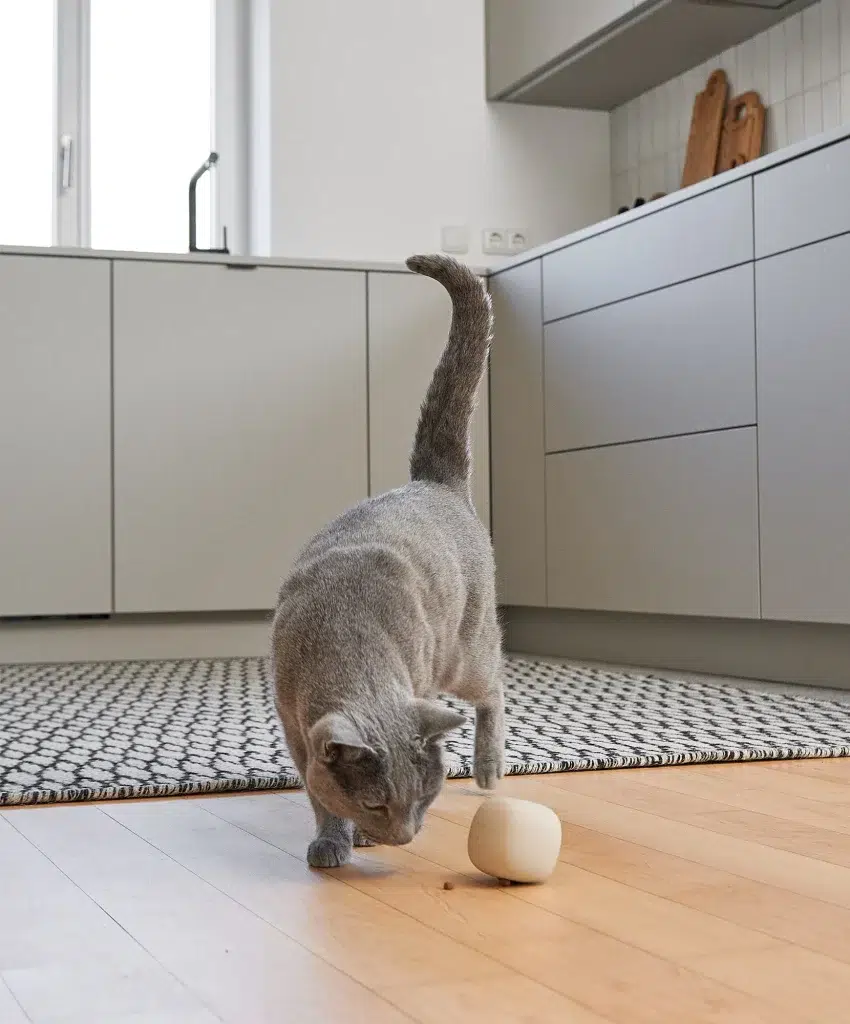 Jouet à friandises pour chat - ROTOLO
