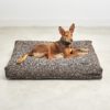 Housse de coussin pour chien - MONDO