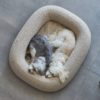 Housse de lit pour chien - BARCA