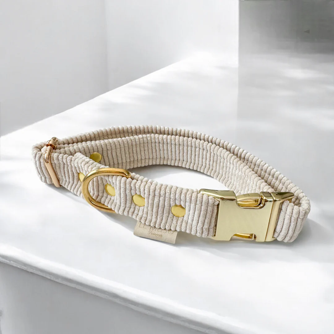 Collier design en velours pour chien Collier design en velours pour chien