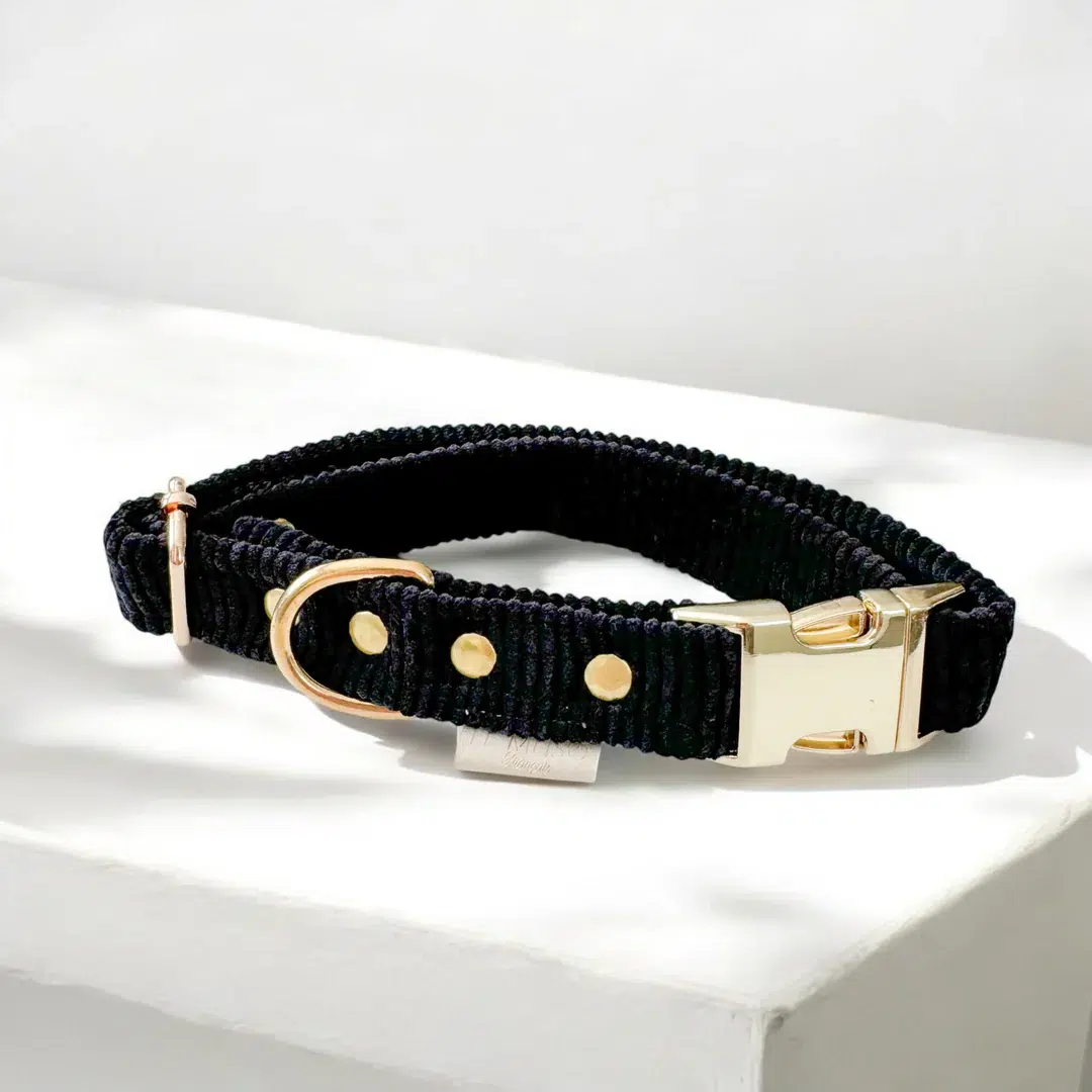 Collier design en velours pour chien Collier design en velours pour chien