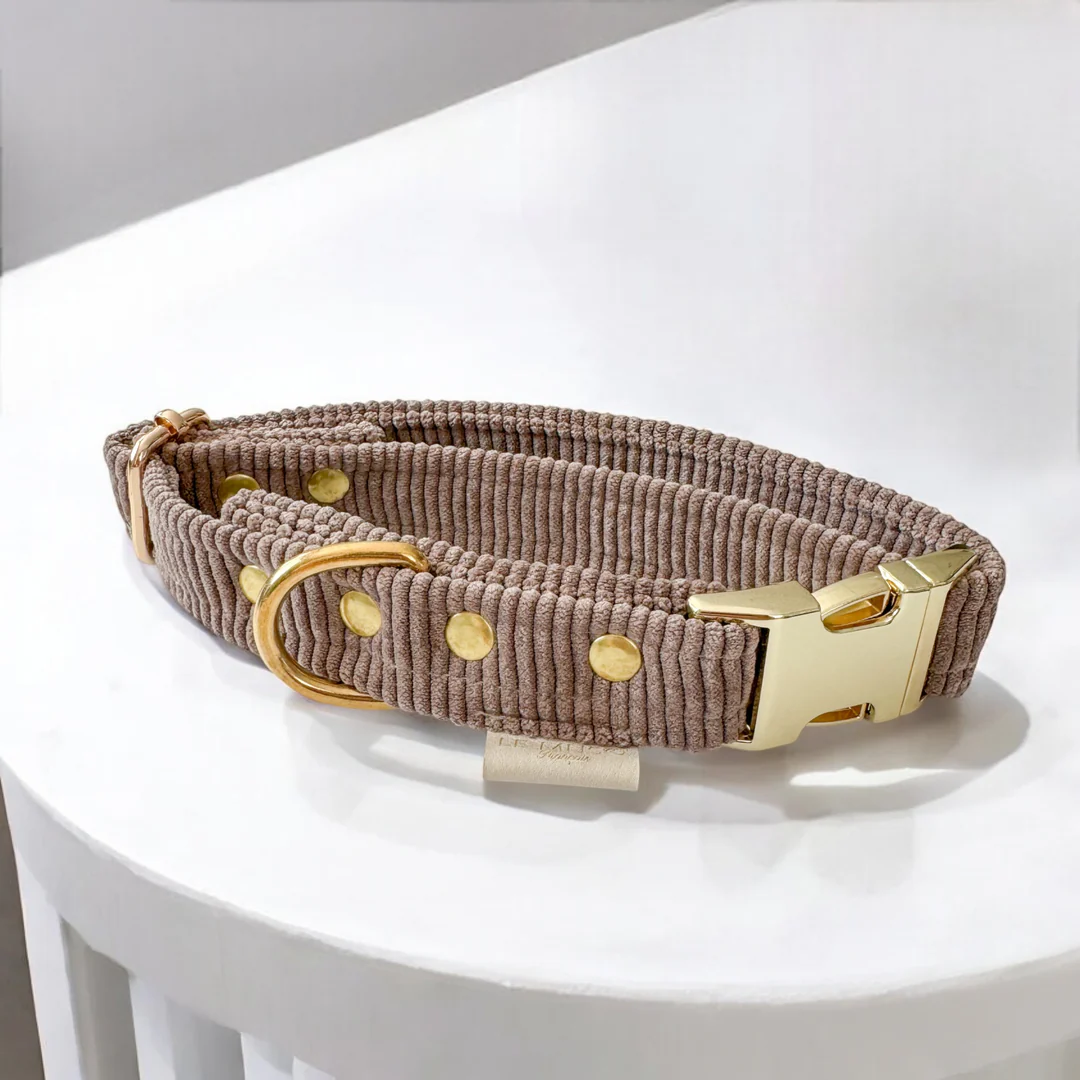 Collier design en velours pour chien Collier design en velours pour chien
