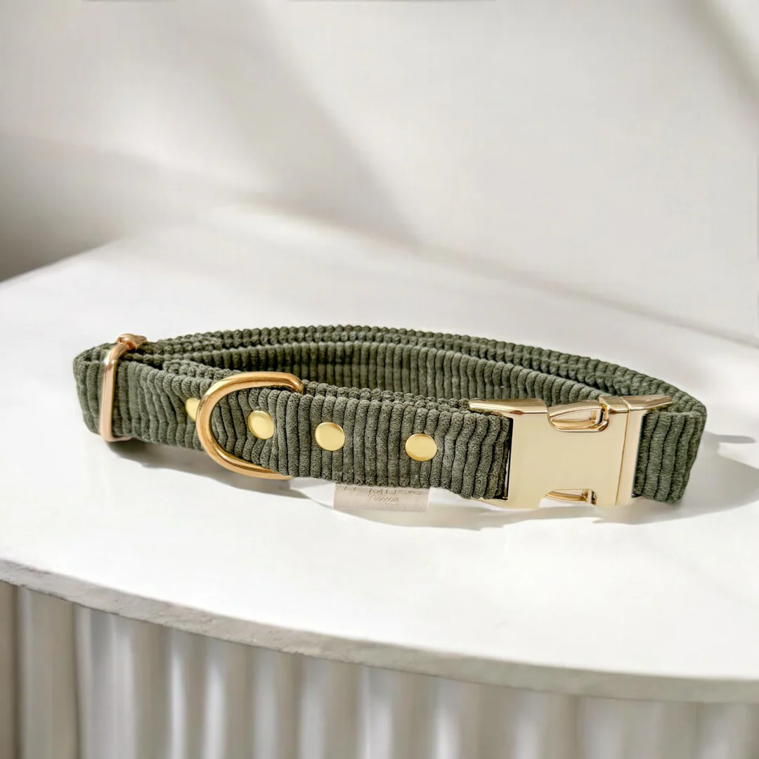 Collier design en velours pour chien Collier design en velours pour chien