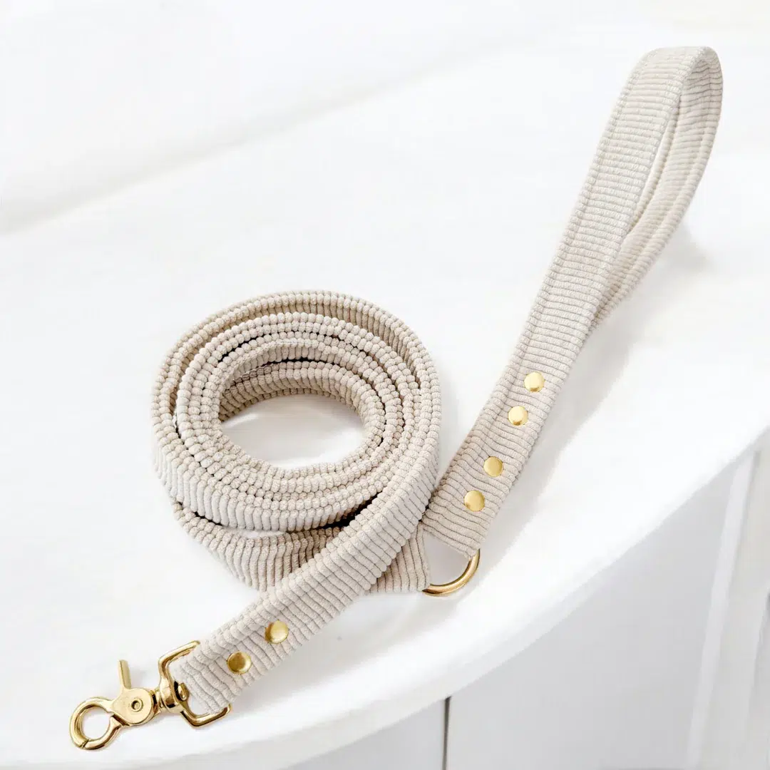 Laisse design en velours pour chien et chat Laisse design en velours pour chien et chat