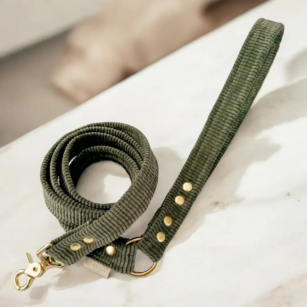 Laisse design en velours pour chien et chat Laisse design en velours pour chien et chat