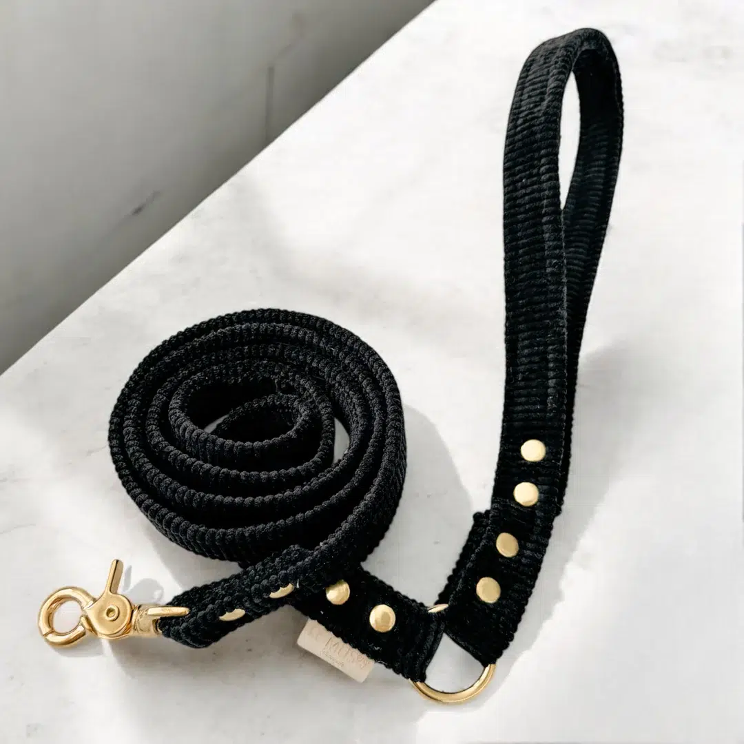 Laisse design en velours pour chien et chat Laisse design en velours pour chien et chat