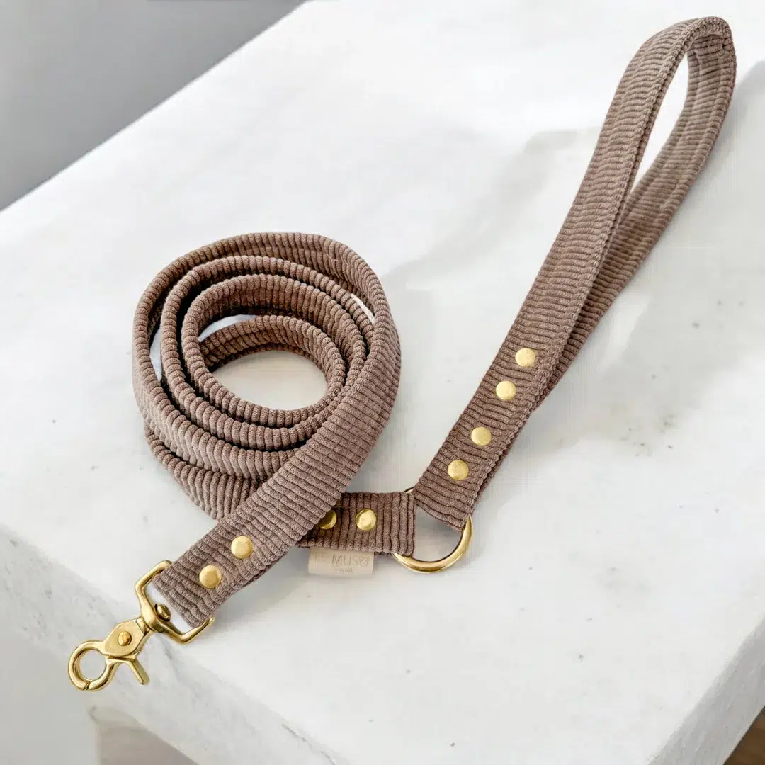 Laisse design en velours pour chien et chat Laisse design en velours pour chien et chat