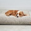 Housse de coussin pour chien - MONDO