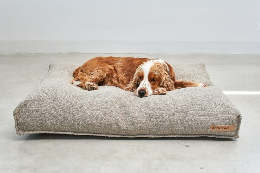 Housse de coussin pour chien - MONDO