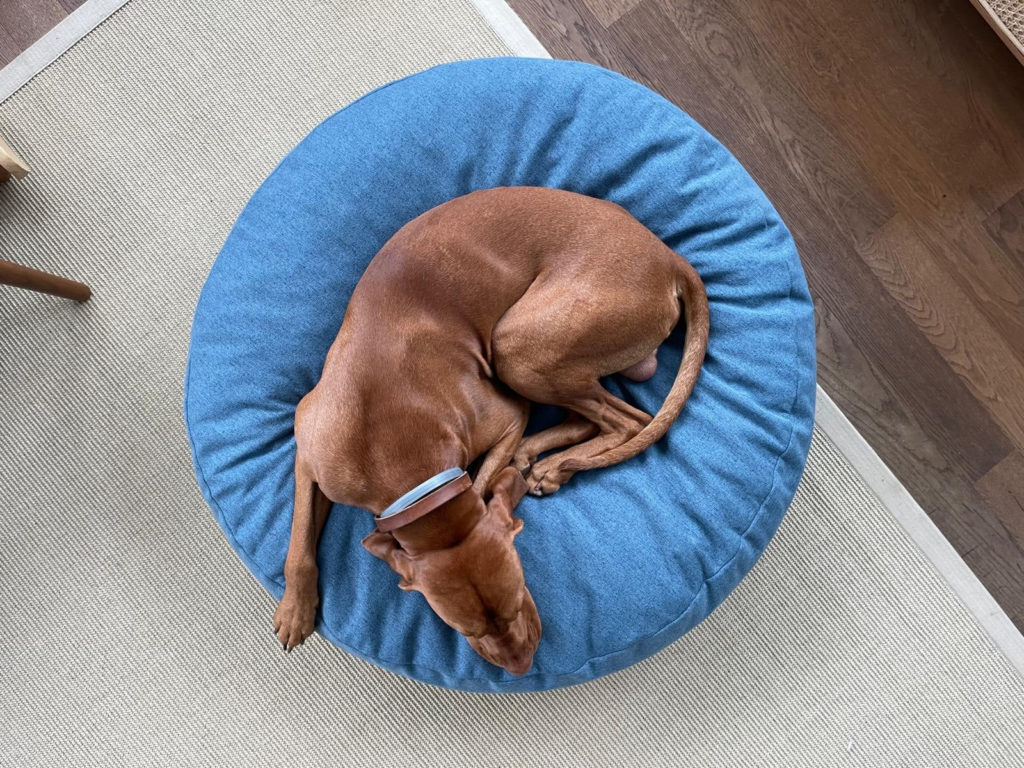 Pouf design pour chien - THE CLOUD