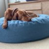 Pouf design pour chien - THE CLOUD