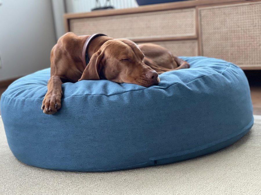 Pouf design pour chien - THE CLOUD