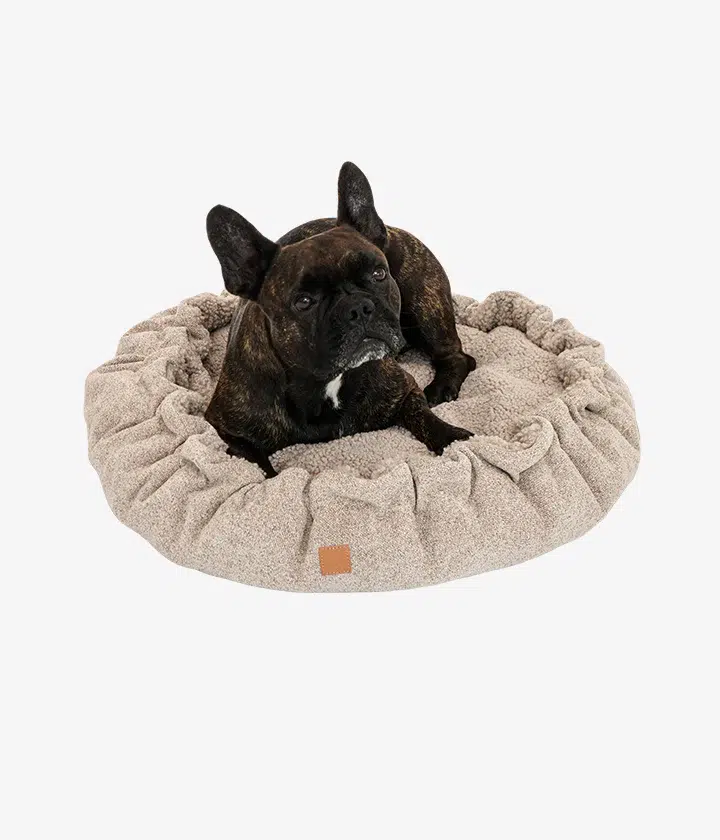 Lit pour chien design - ALFI