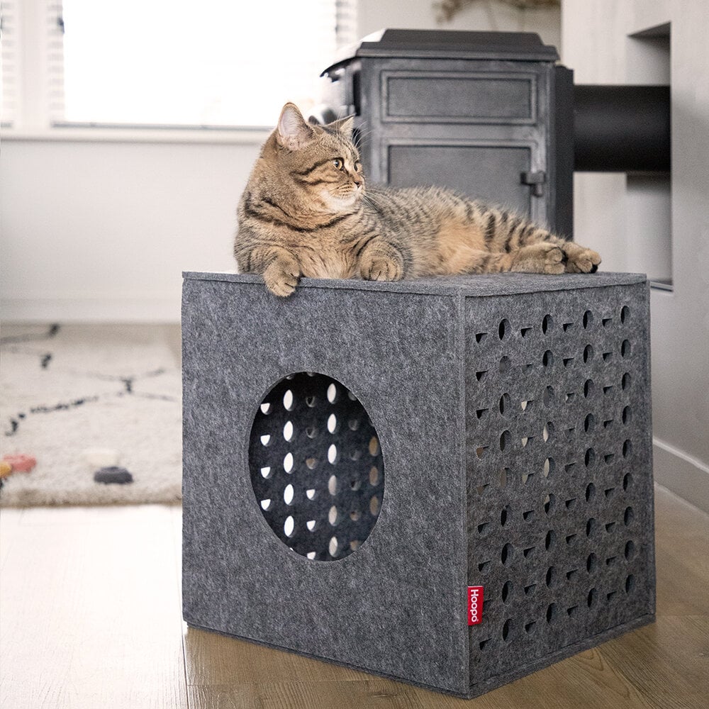 Cube de jeu en feutre pour chat - HOOPO