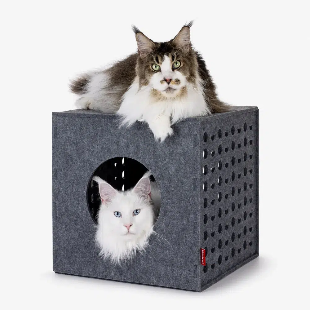 Cube de jeu en feutre pour chat - HOOPO