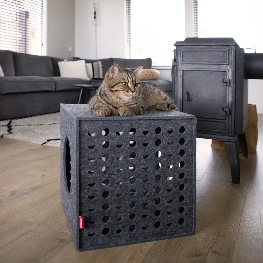 Cube de jeu en feutre pour chat - HOOPO