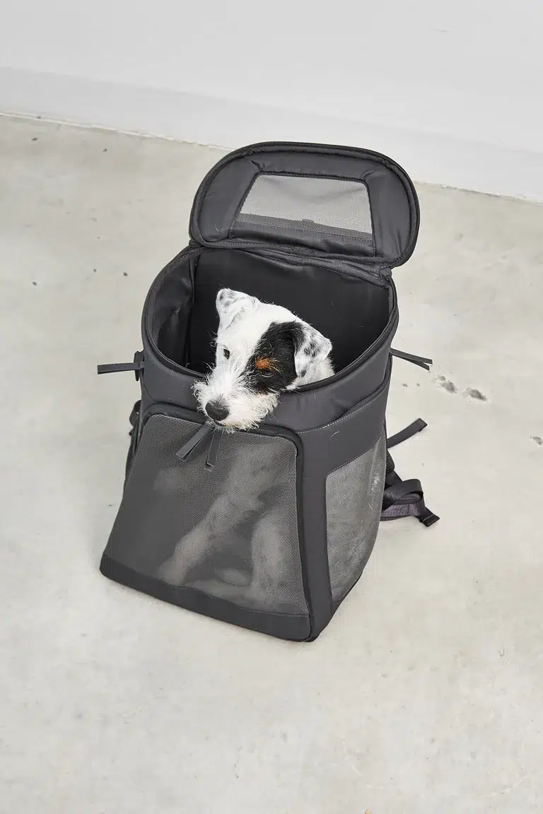 Sac à dos pour chien - ZAINO