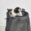 Sac à dos pour chien - ZAINO