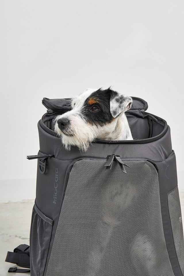 Sac à dos pour chien - ZAINO