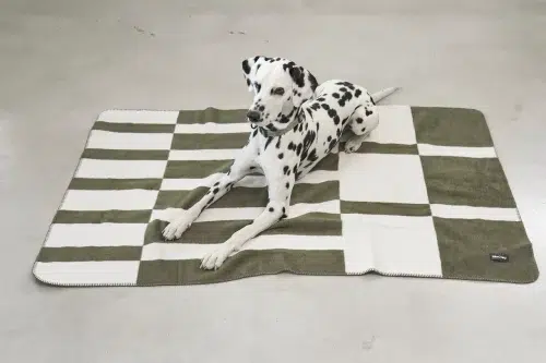 COUVERTURE CHIEN DESIGN BLOCCO MIACARA