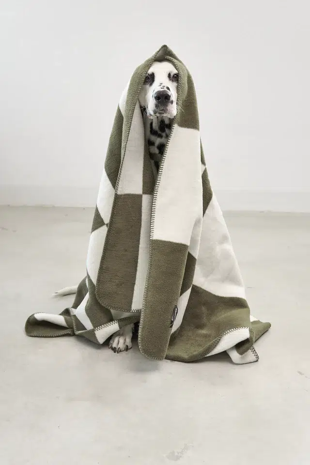COUVERTURE CHIEN DESIGN BLOCCO MIACARA