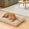 CAMPO DESIGN ORTHOPEDIQUE COUSSIN MIACARA CHIEN