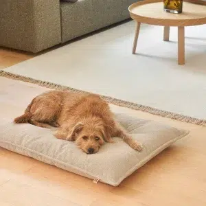 Coussin orthopédique pour chien – CAMPO
