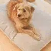 CAMPO DESIGN ORTHOPEDIQUE COUSSIN MIACARA CHIEN