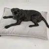 CAMPO DESIGN ORTHOPEDIQUE COUSSIN MIACARA CHIEN