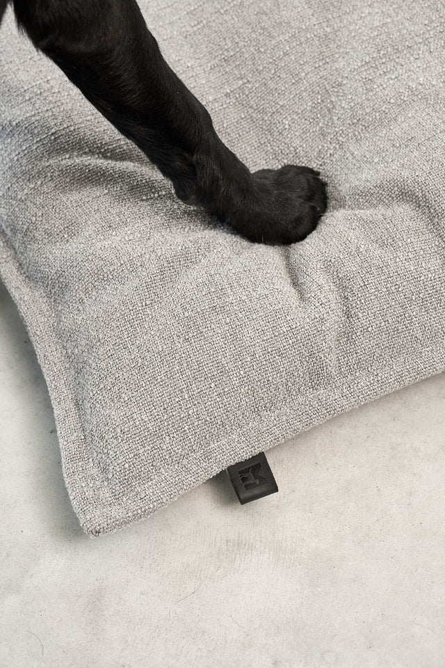 CAMPO DESIGN ORTHOPEDIQUE COUSSIN MIACARA CHIEN