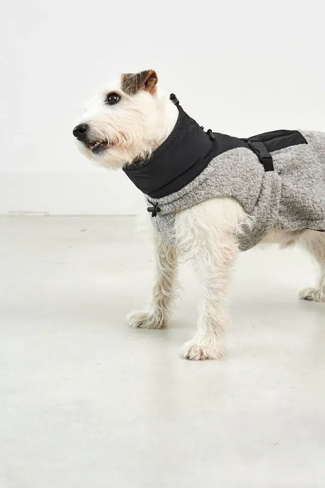 Manteau bouclé pour chien - EMILIA