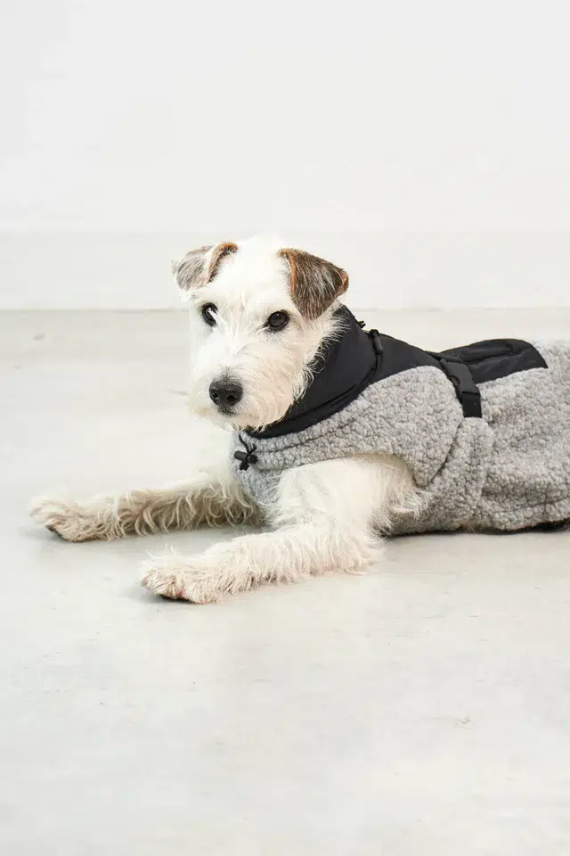 Manteau bouclé pour chien - EMILIA