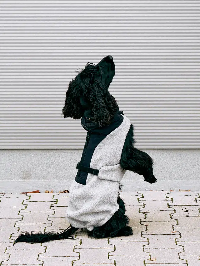 Manteau bouclé pour chien - EMILIA