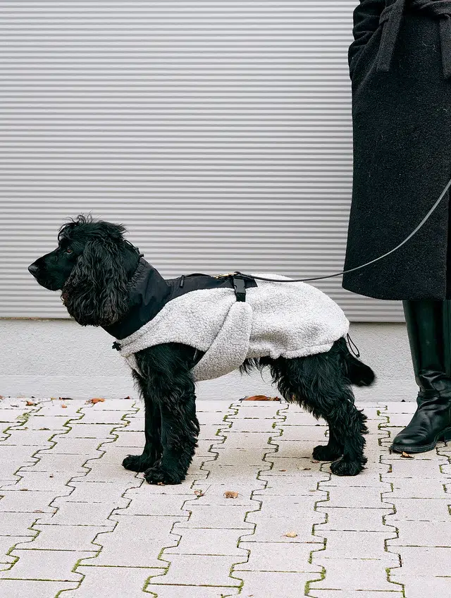 Manteau bouclé pour chien - EMILIA
