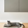 GRATTA GRIFFOIR DESIGN POUR CHAT MIACARA