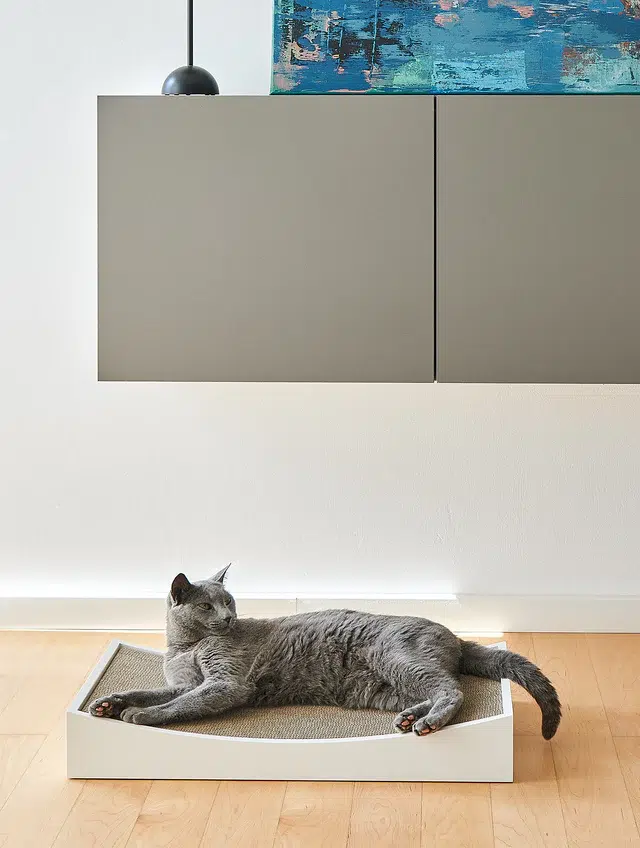 GRATTA GRIFFOIR DESIGN POUR CHAT MIACARA