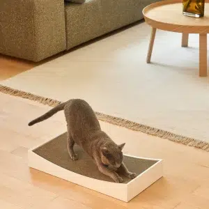 Griffoir pour chat design – GRATTA