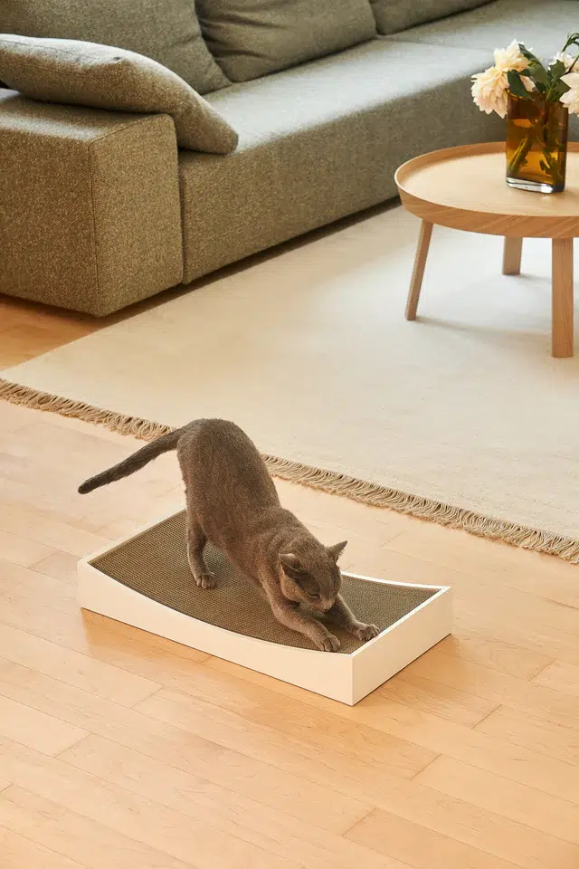 GRATTA GRIFFOIR DESIGN POUR CHAT MIACARA