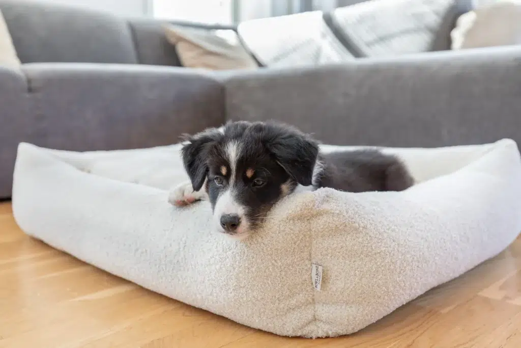 Panier pour chien design bouclé - HARMONY Panier pour chien design bouclé - HARMONY