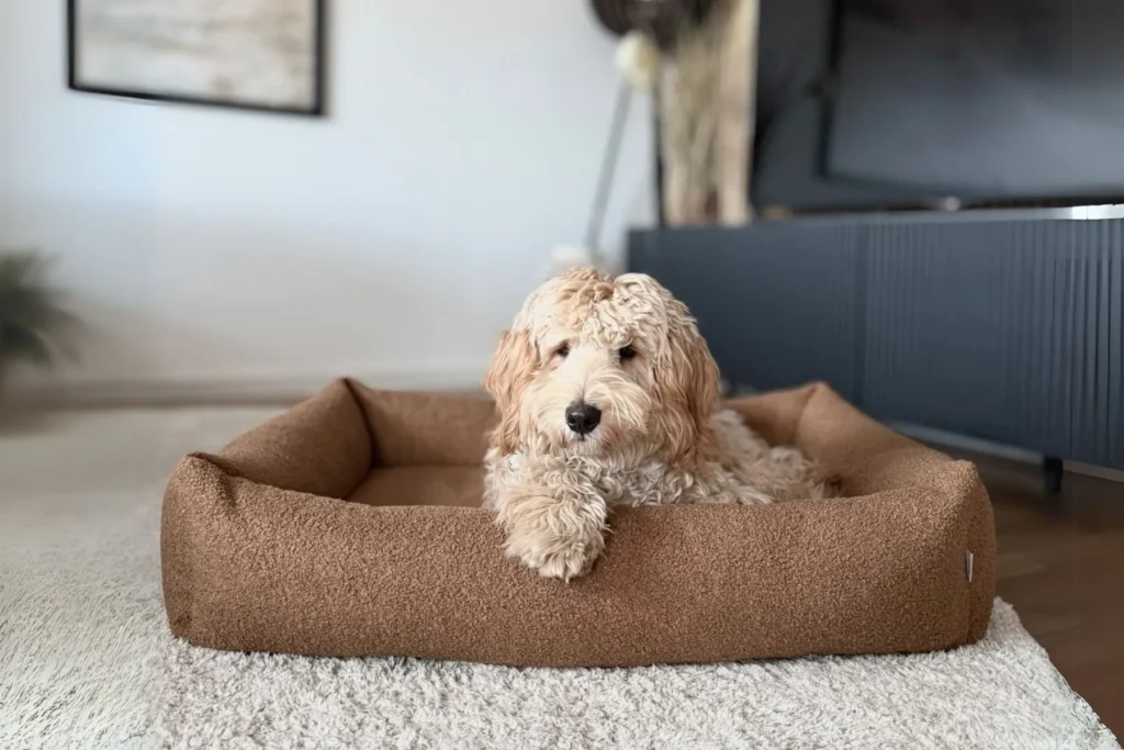 Panier pour chien design bouclé - HARMONY Panier pour chien design bouclé - HARMONY