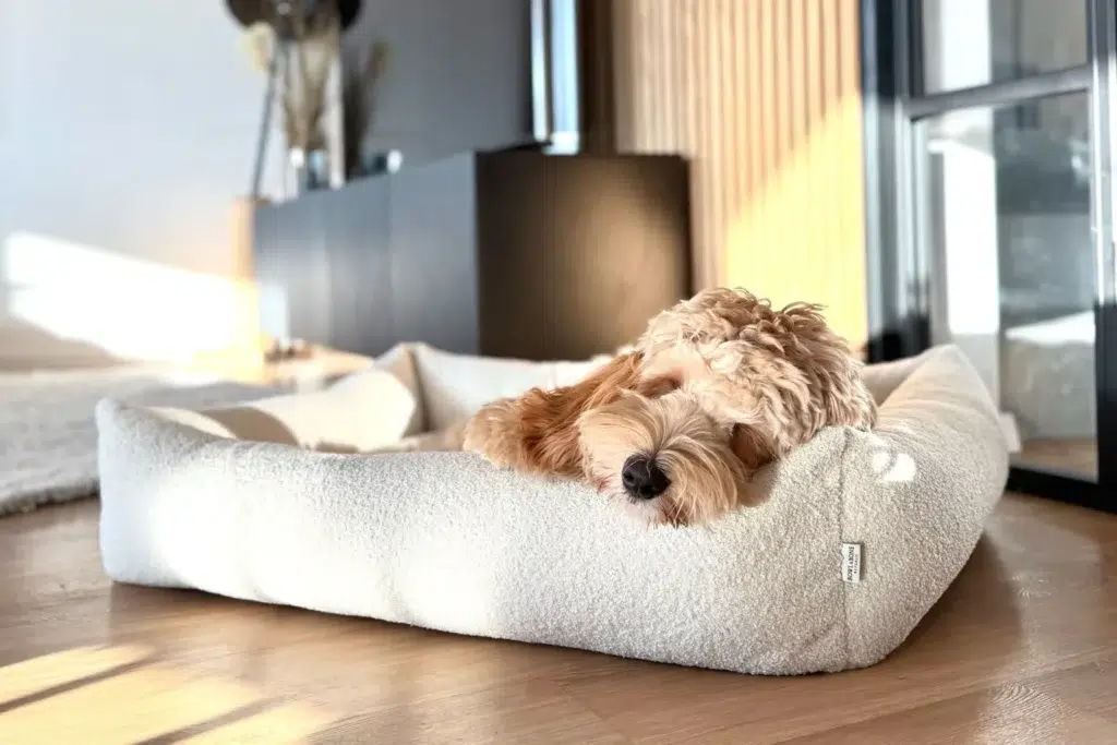 Panier pour chien design bouclé - HARMONY Panier pour chien design bouclé - HARMONY