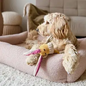 Panier pour chien design bouclé – HARMONY