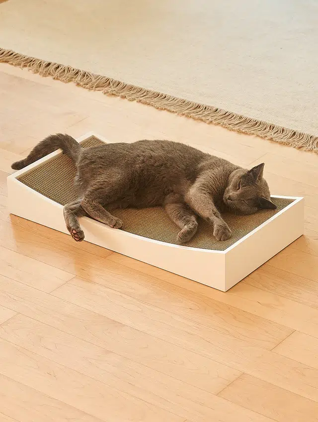 GRATTA GRIFFOIR DESIGN POUR CHAT MIACARA